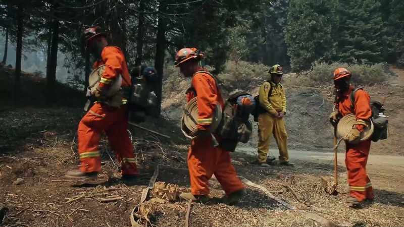 After the catastrophic fires in 2003