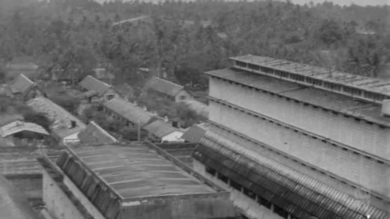 After the fall of Singapore to Japan