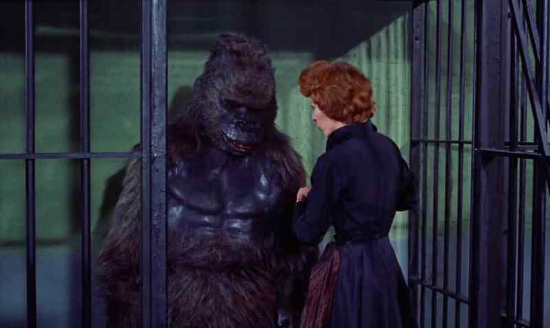 After this, Konga, it will be easier for you to obey me