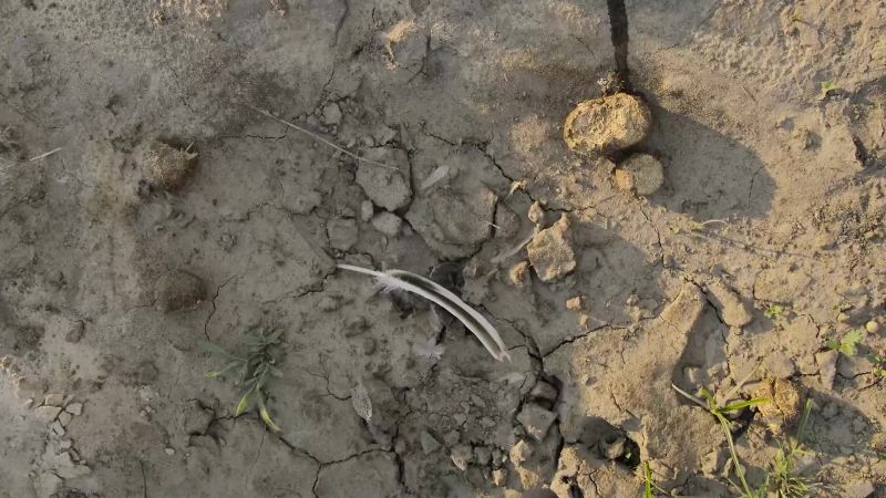 After three months of drought