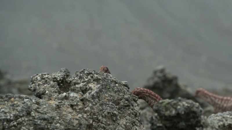 After two days of trekking