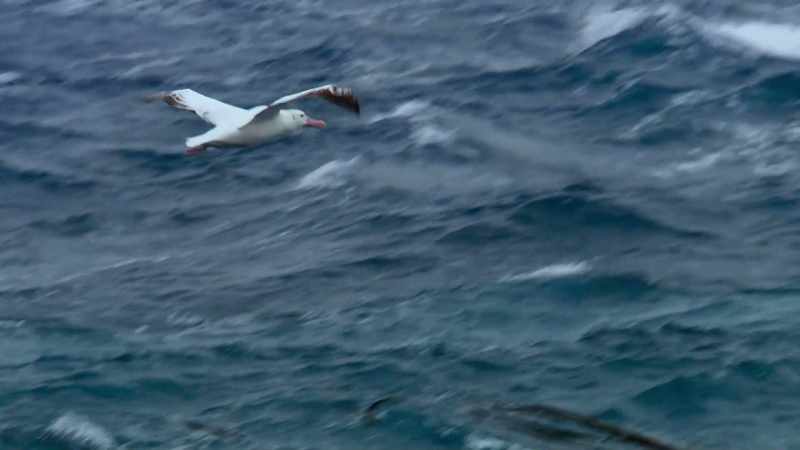 Ageing parents struggle on all through the Antarctic winter