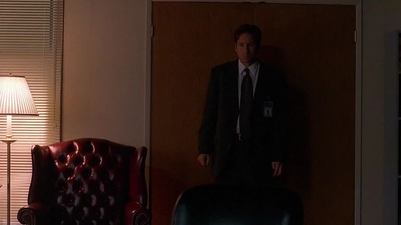 Agent Mulder, please take a seat