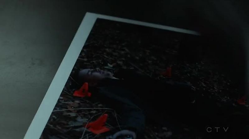 Agent Wells, do you recognize this man?
