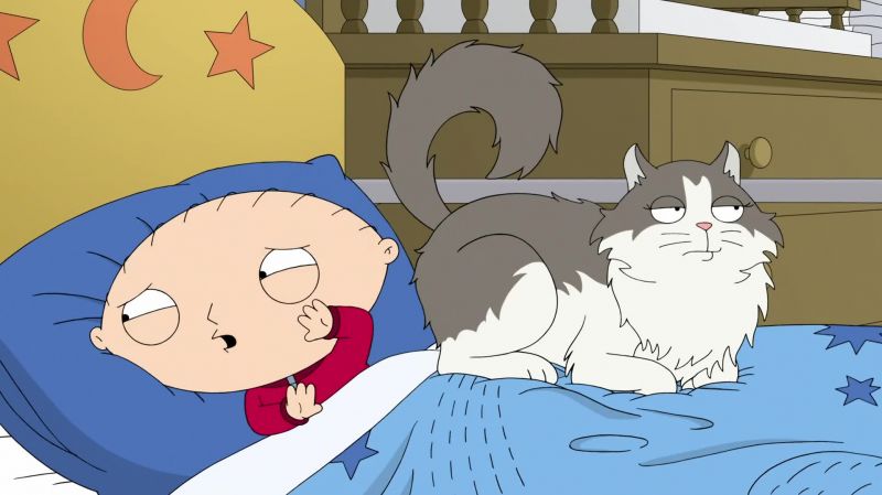 Ah! Cat butt!
