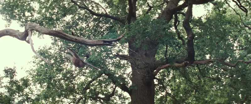 Ah! Christopher Robin! You've brought guests