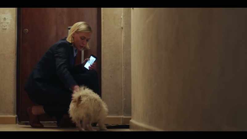 Ah, good dog. Back. Back