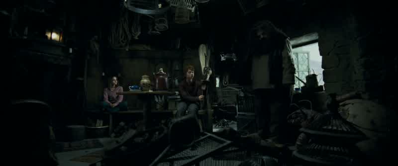 Ah! Harry! - Ron! Ron, wait!