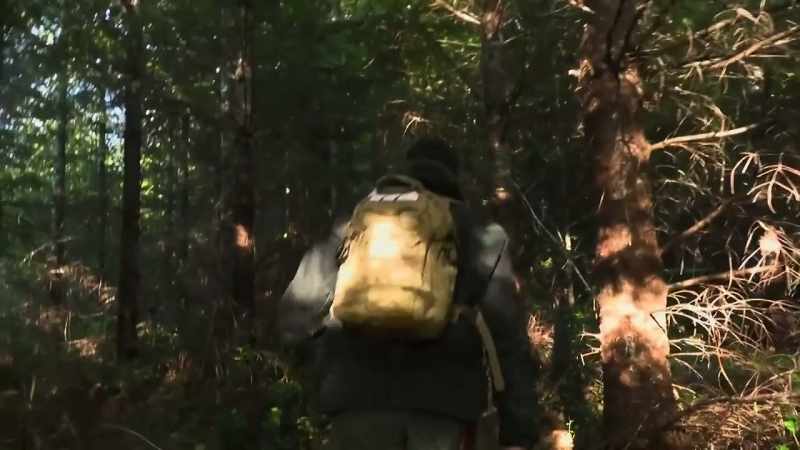 Ah, look at this little trail, perfect position