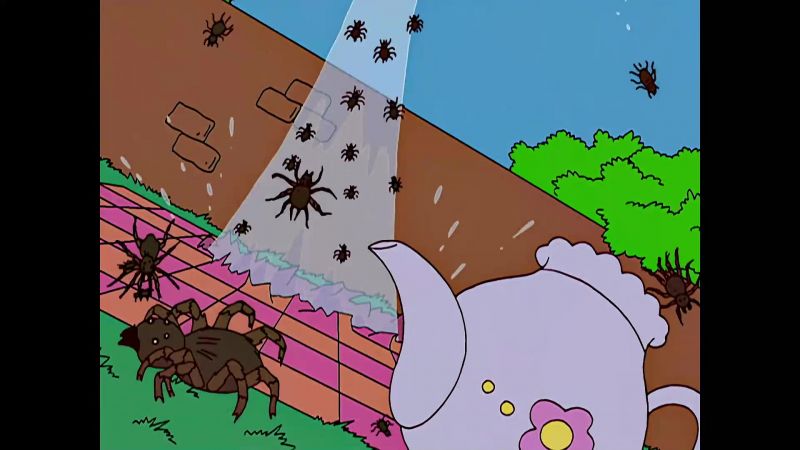Ah...! Tarantulas!