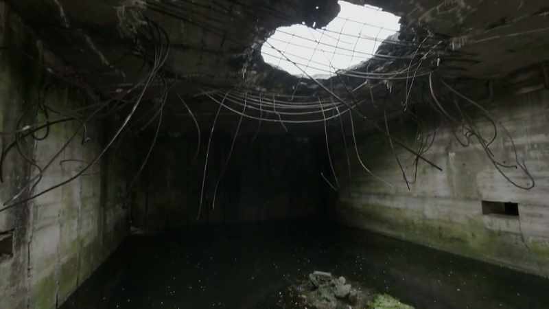 Aimey: Perhaps it was not just a decoy