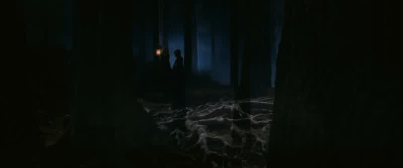 Ain't a soul knows how, except for me and Dumbledore