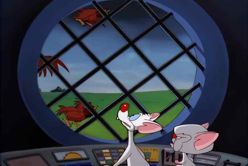 AIR CHICKENS