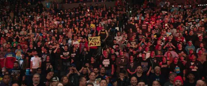 AJ LEE: I'm sorry