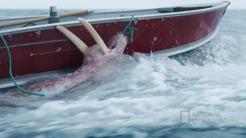 ALA: We're gonna be towing this walrus home