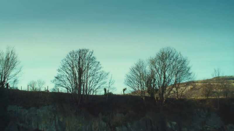 ALAN: 'Being totally invested, both emotionally