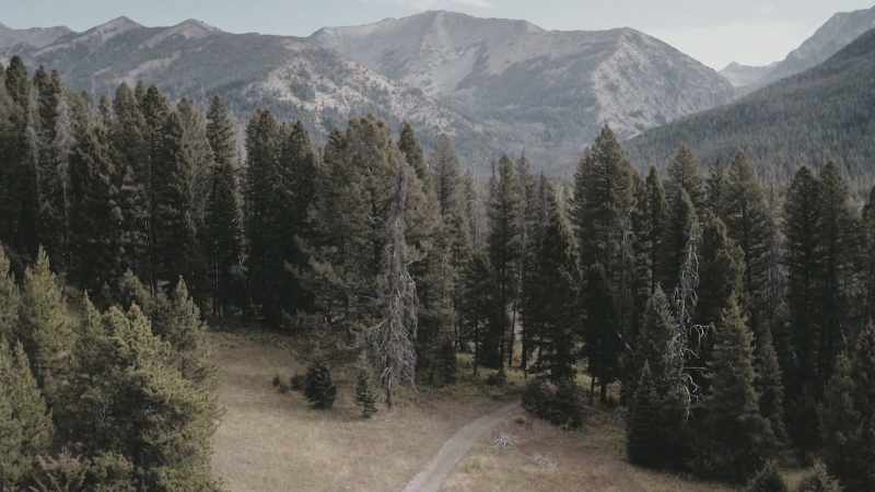 ALAN: What supposedly happened as they started on the trail