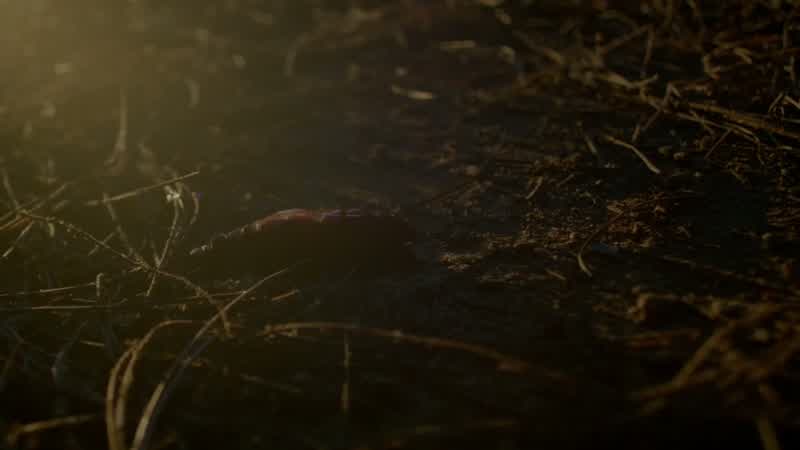 ALARIC: Hope's right