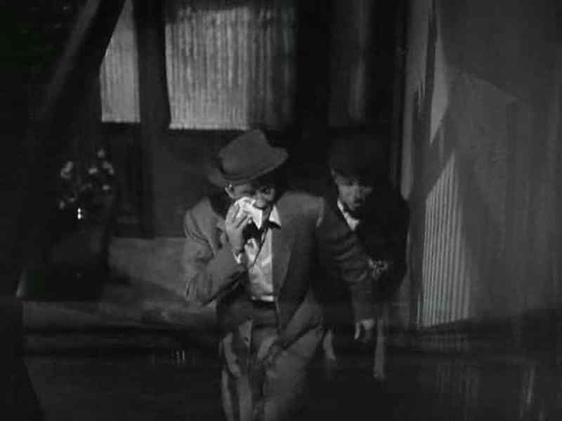 Albert, you were terrific
