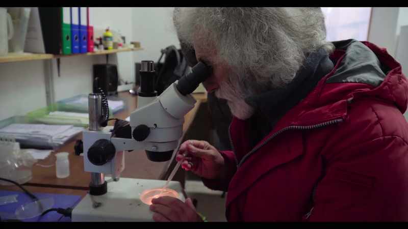 Alberto is a biologist
