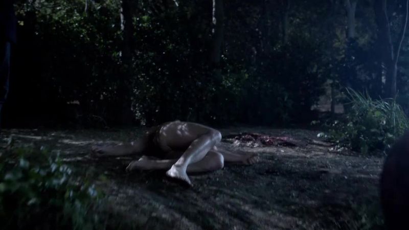 Alcide! Alcide! Alcide!