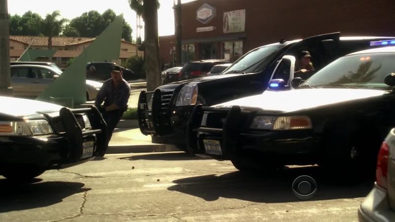 Alex McCann, you're under arrest!