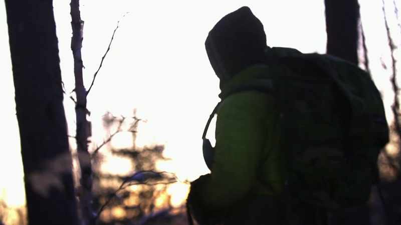 ALEX: The lesson that nature has to teach is