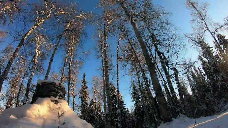 ALEX: Wintertime here in interior Alaska questioning