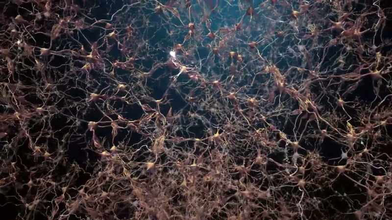 [Alfredo] All these neurons are all interconnected