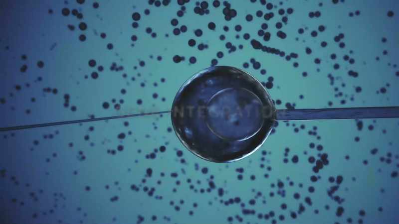 Alien genetics are introduced in vitro