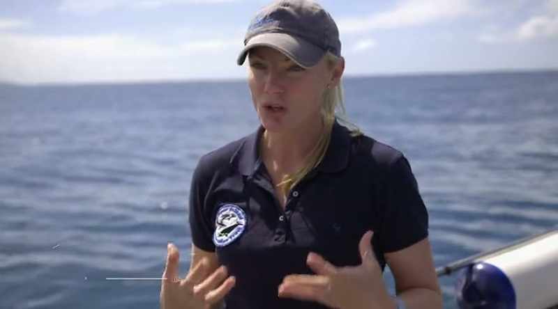 ALISON: What makes the white shark's bite so unique is that