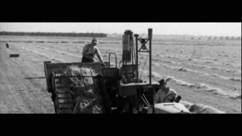 All across America, FDR's new deal programs