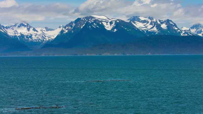 All across the higher latitudes
