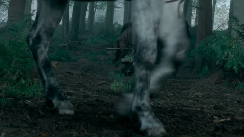 Robb? All alone in the deep, dark woods