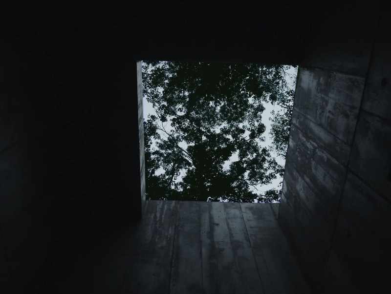 [All] If blue bugs bleed blue blood