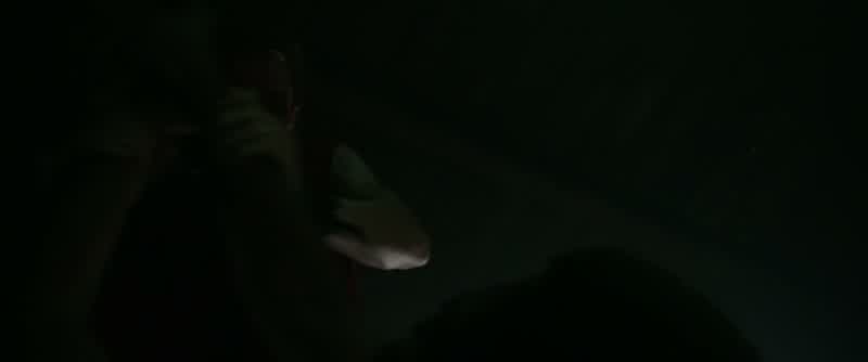 ALL: Mike!