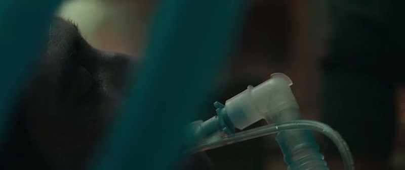 All of those things happened
