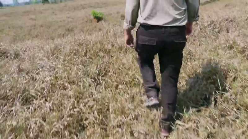 ALL OVER THE RANCH LAND