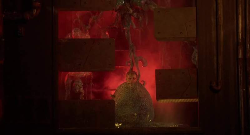 All that remained of jorn was his head