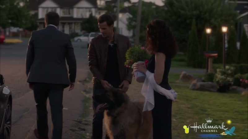 All right, Barnabas, this walk was your idea!