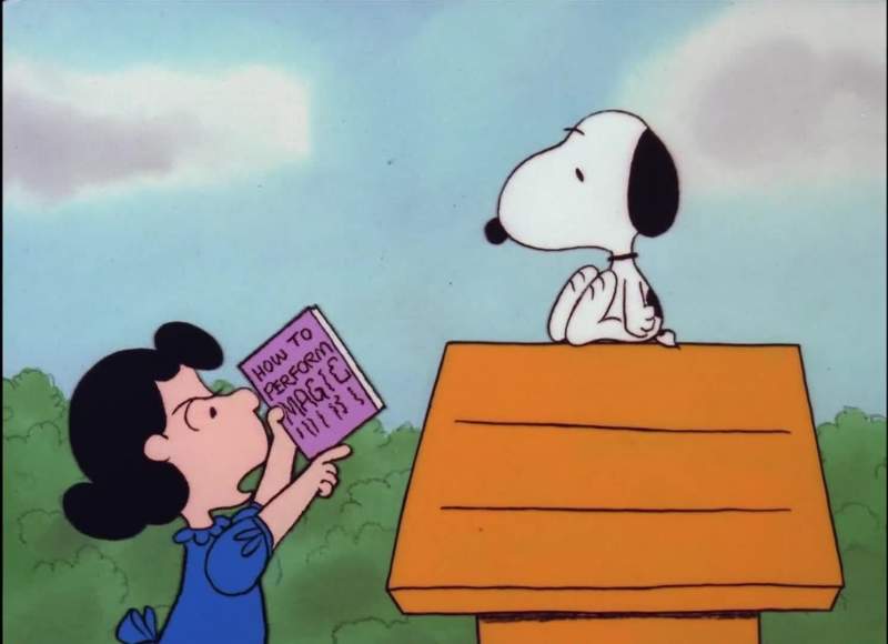 All right beagle Here's your magic book