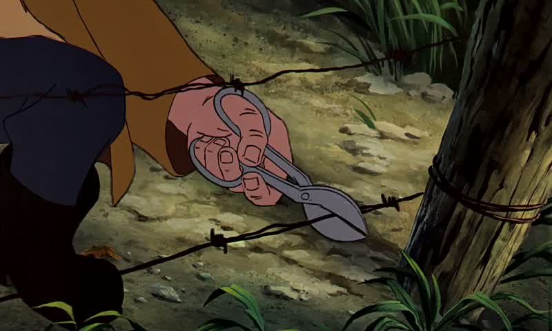 All right, boy, get trackin'