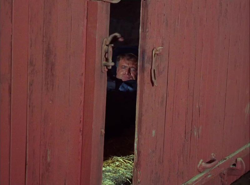 All right, come on! Get out of there!
