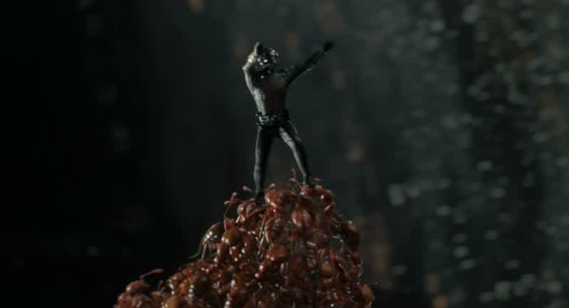 All right, come on, I gotta get up there