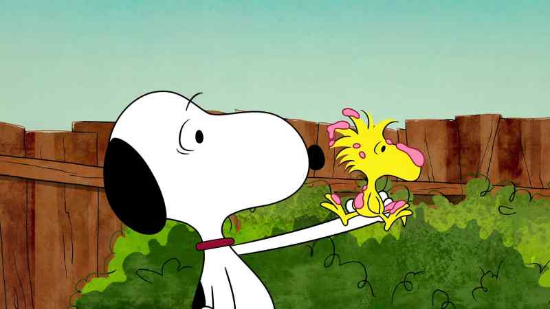 All right, dog, this is your last chance to pay up