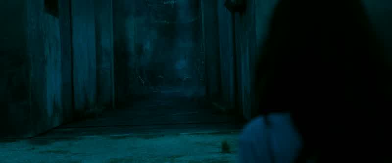 All right, everybody hide!