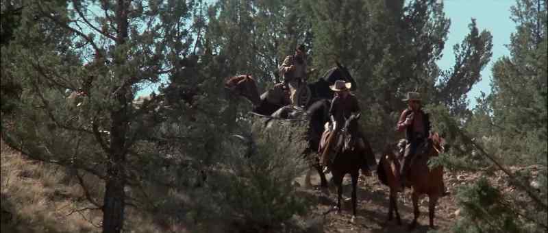 All right, Hawk! Bring it on down !