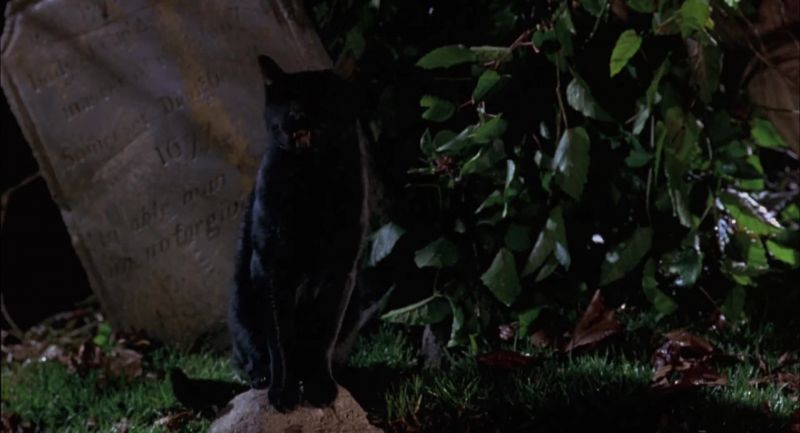 All right, you little trollimog. - Aaah!