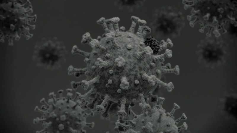 All right, it looks just like the COVID protein