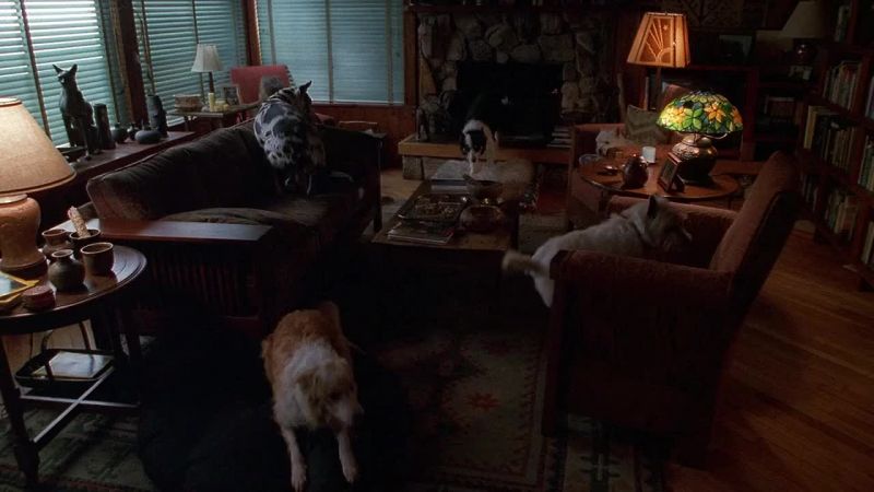 All right, settle down. Settle!